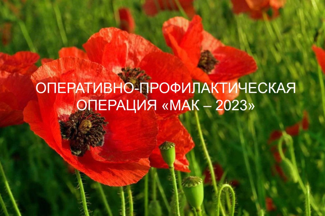 «Мак-2023»: профилактическая работа - эффективное средство в борьбе с наркоманией
