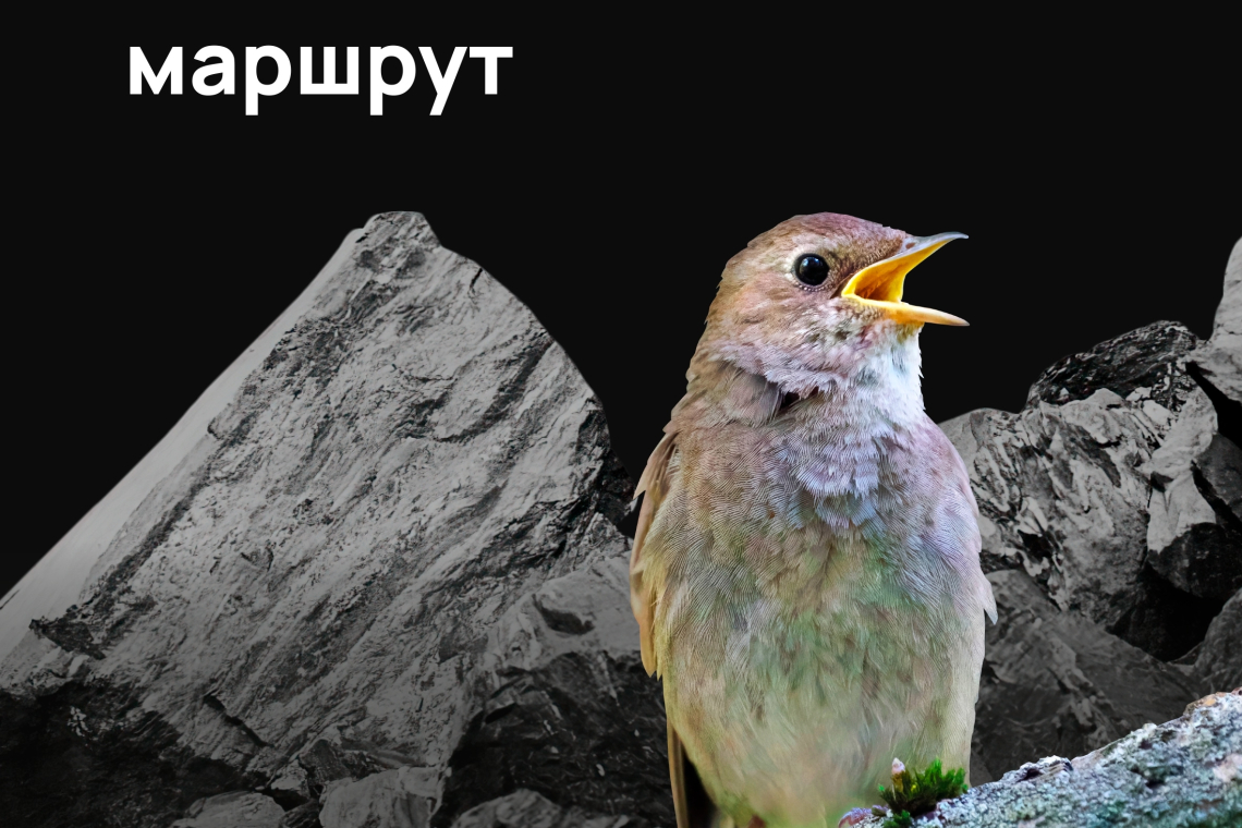 480 км по Курской области для туристов и другие итоги реализации нацпроектов в регионе