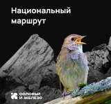 480 км по Курской области для туристов и другие итоги реализации нацпроектов в регионе