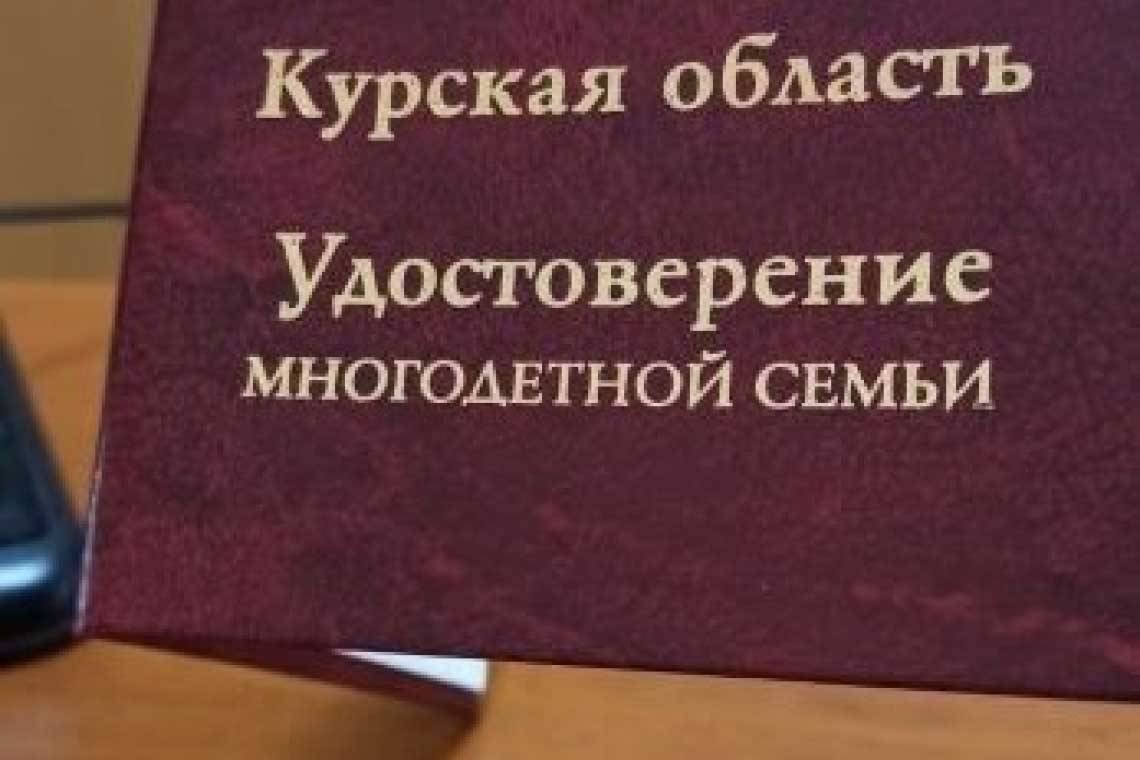 В Курской области растет количество многодетных семей 