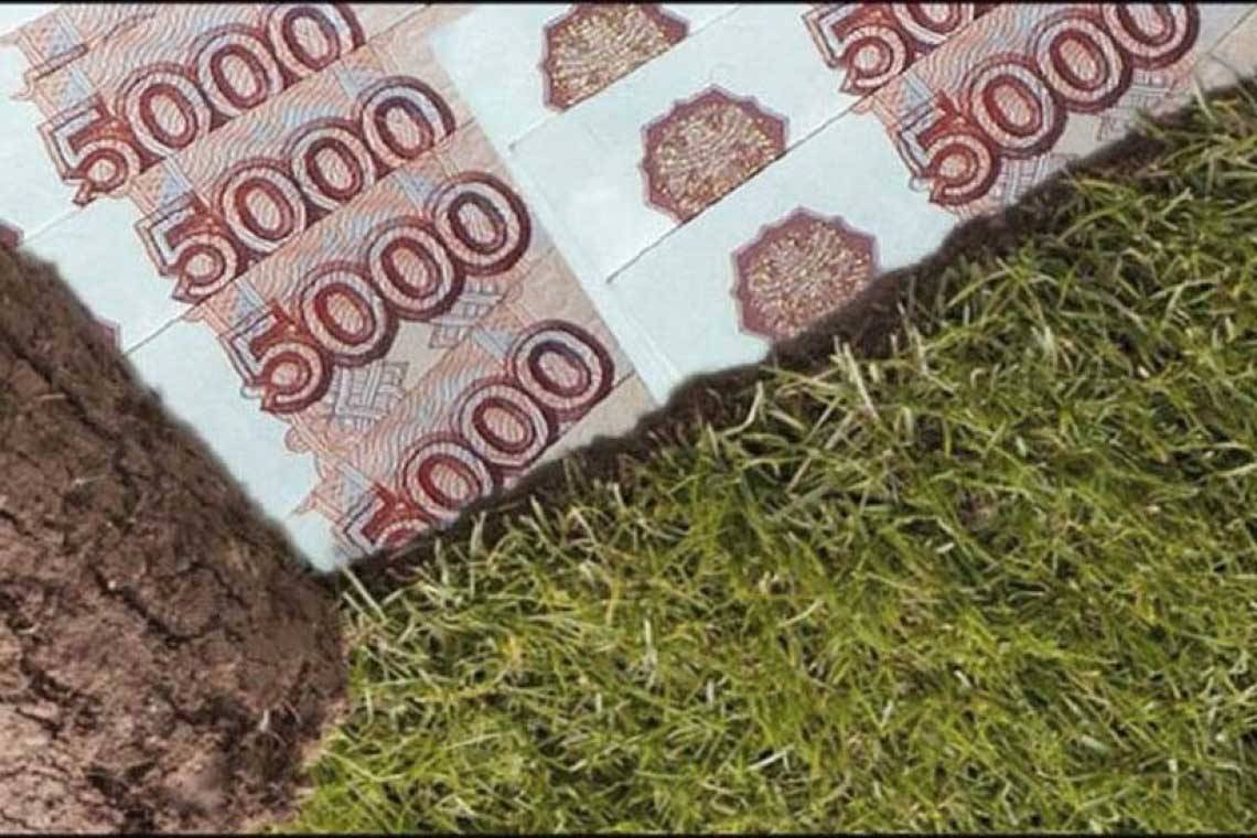 Многодетные семьи могут получить компенсацию взамен бесплатного земельного участка