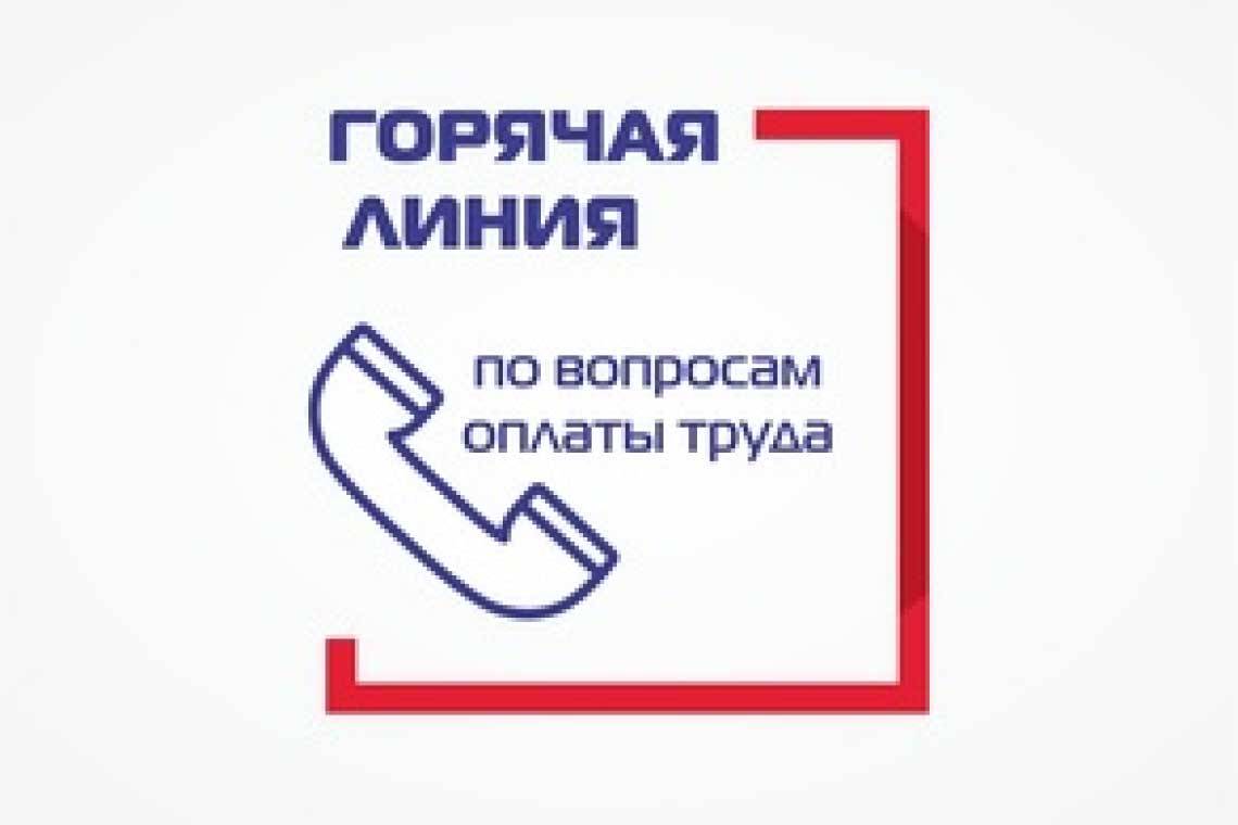 По вопросам оплаты труда и нарушения трудового законодательства звоните на "горячую линию"