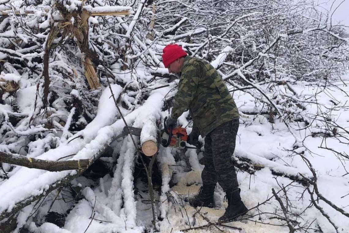Жители Курчатовского района приняли участие в заготовке дров для участников СВО