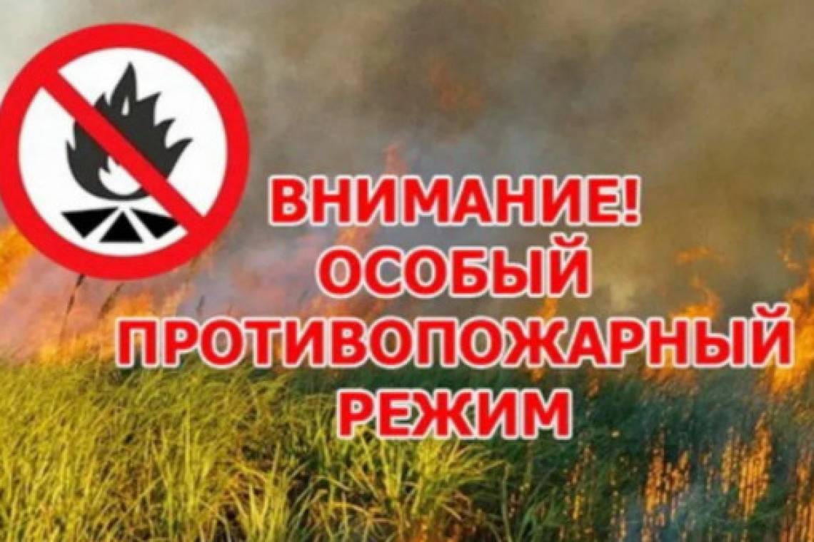 На территории всей Курской области установлен особый противопожарный режим