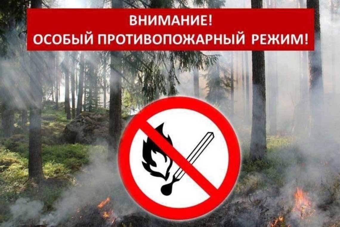 В регионе продлен срок действия ограничений на пребывание граждан в лесах