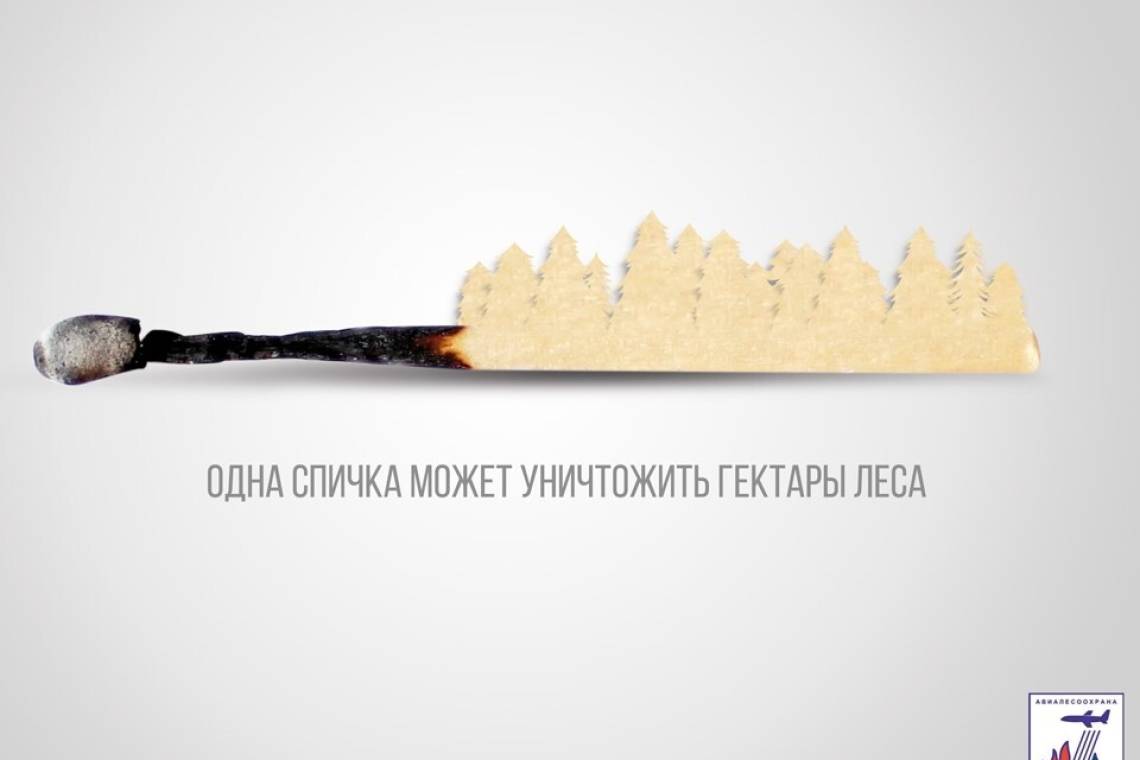 Курская область продолжает участвовать в Федеральной информационной противопожарной кампании «Останови огонь!»