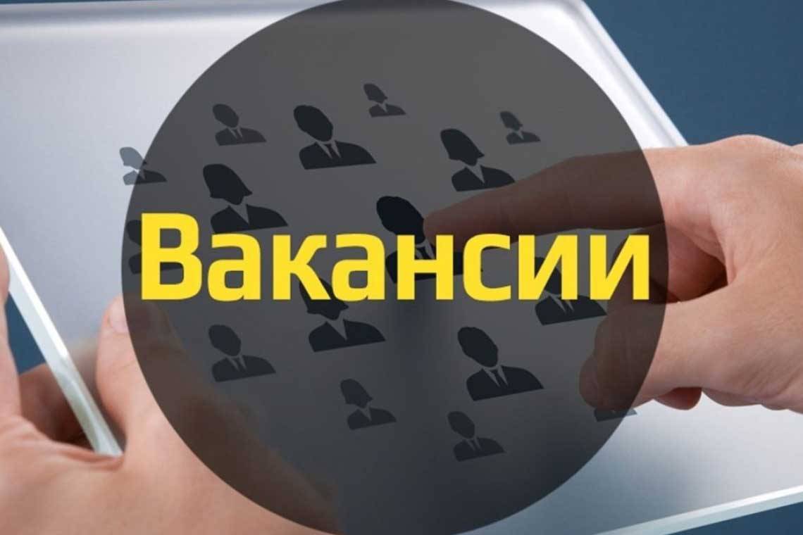 Рынок труда: актуальные вакансии в группе «Труд и занятость в Курской области»