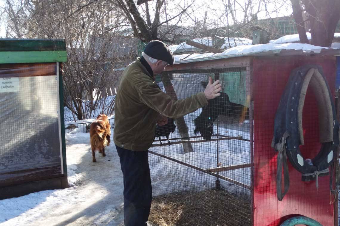 Парк птиц: у Курчатова есть перспективы создать уникальное место в Курской области