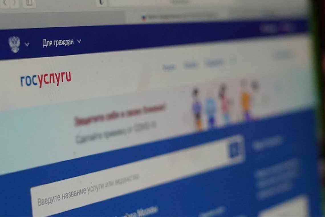 Более 200 курян записались добровольцами через портал «Госуслуги»