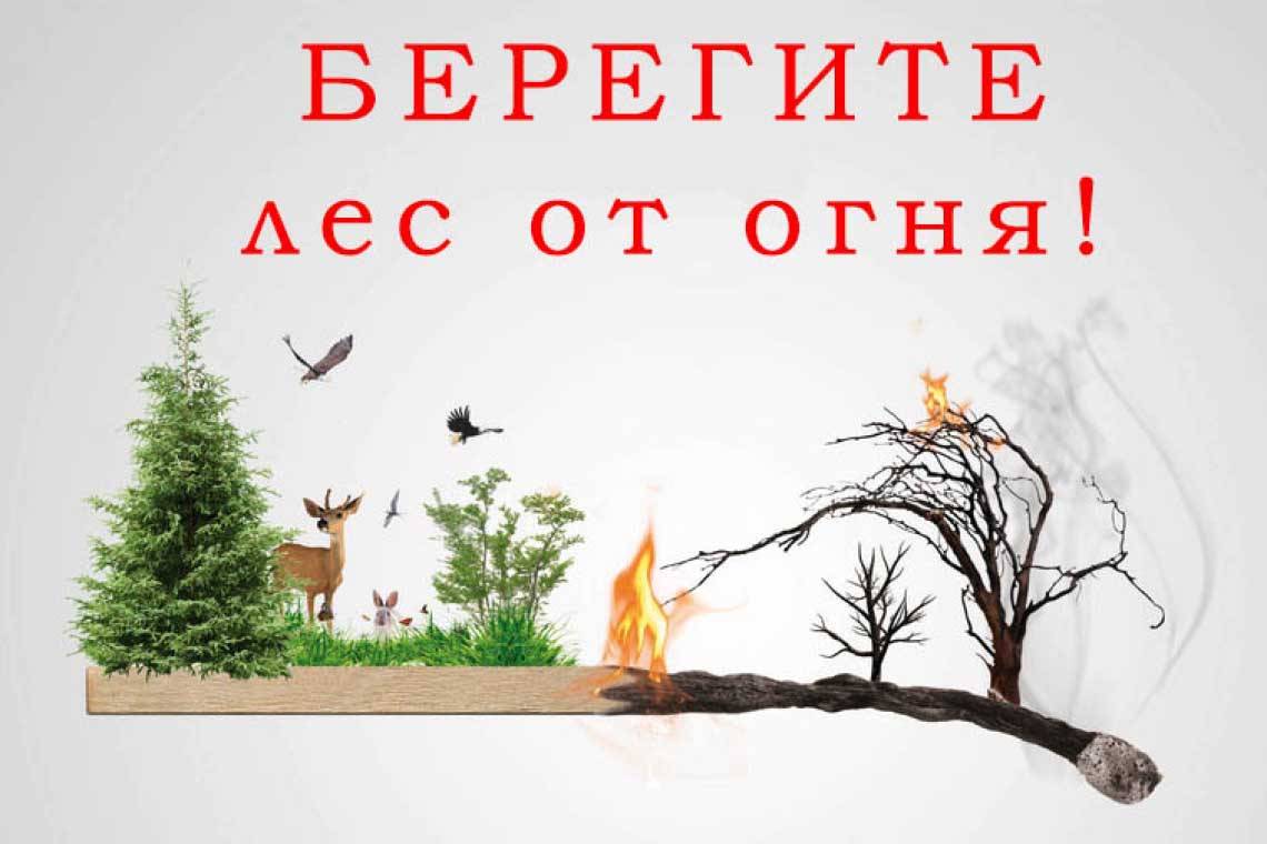 В лесах запрещено разводить костры, сжигать траву и мусор