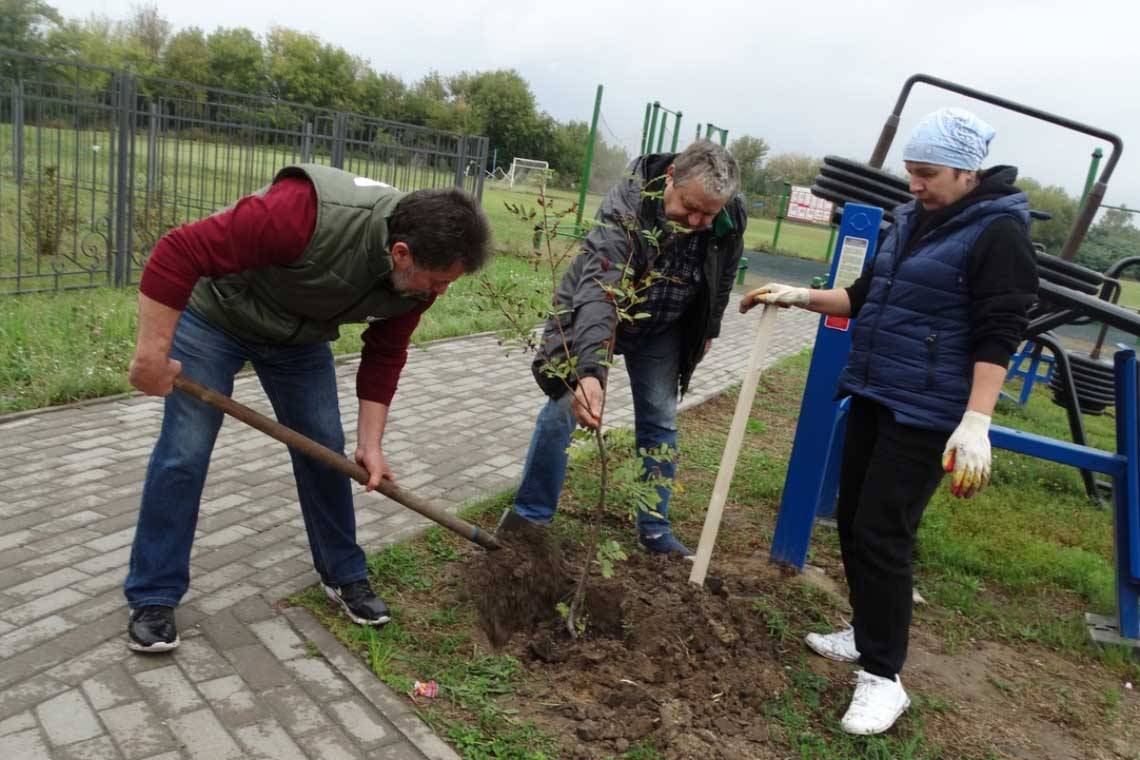 В поселке имени Карла Либкнехта по инициативе местной администрации появилась рябиновая аллея