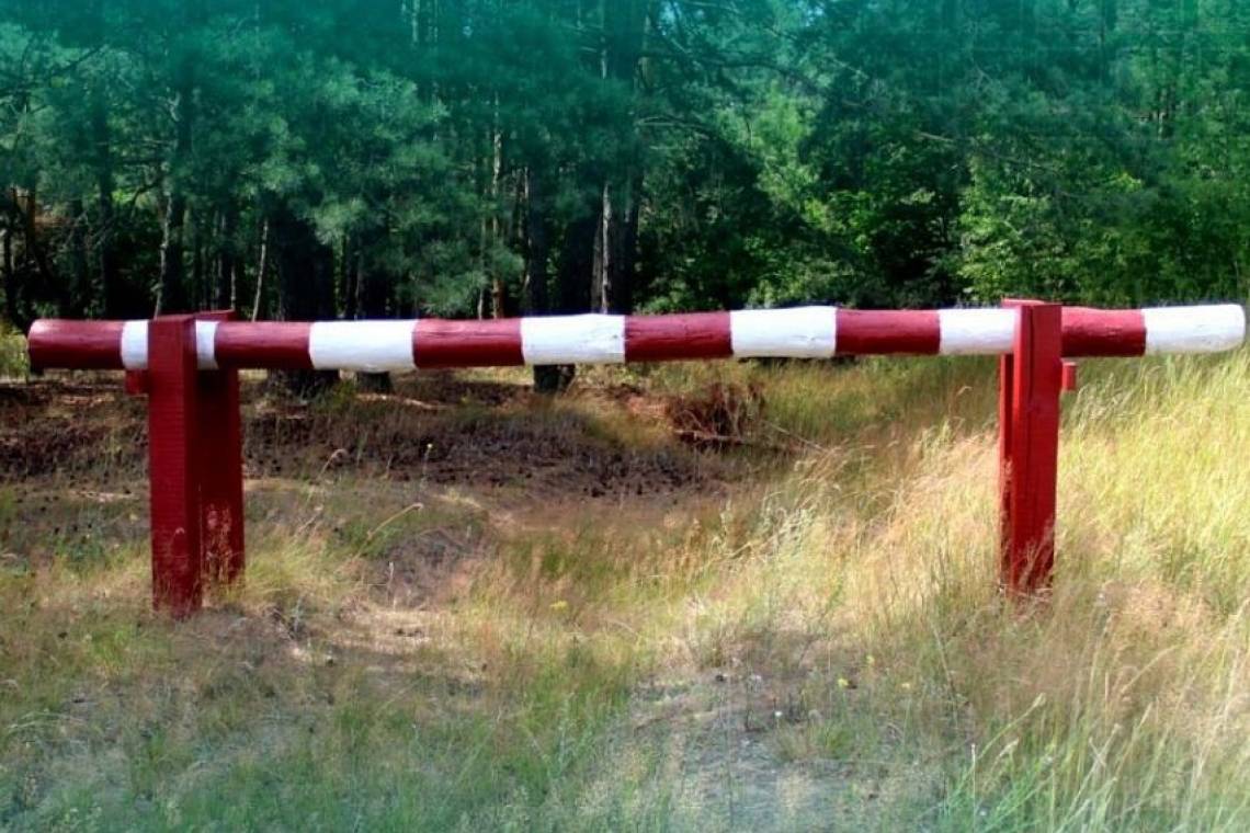 В Курской области продлены ограничительные меры на пребывание граждан в лесах