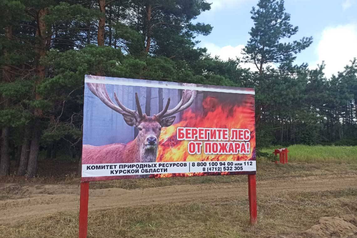 В 2022 году в Курской области не допустили пожаров в лесах