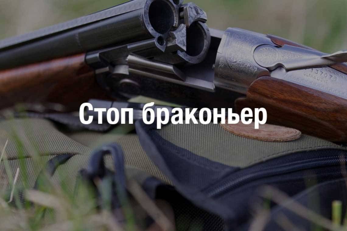 Куряне могут сообщить о фактах браконьерства по телефонам "горячей линии"