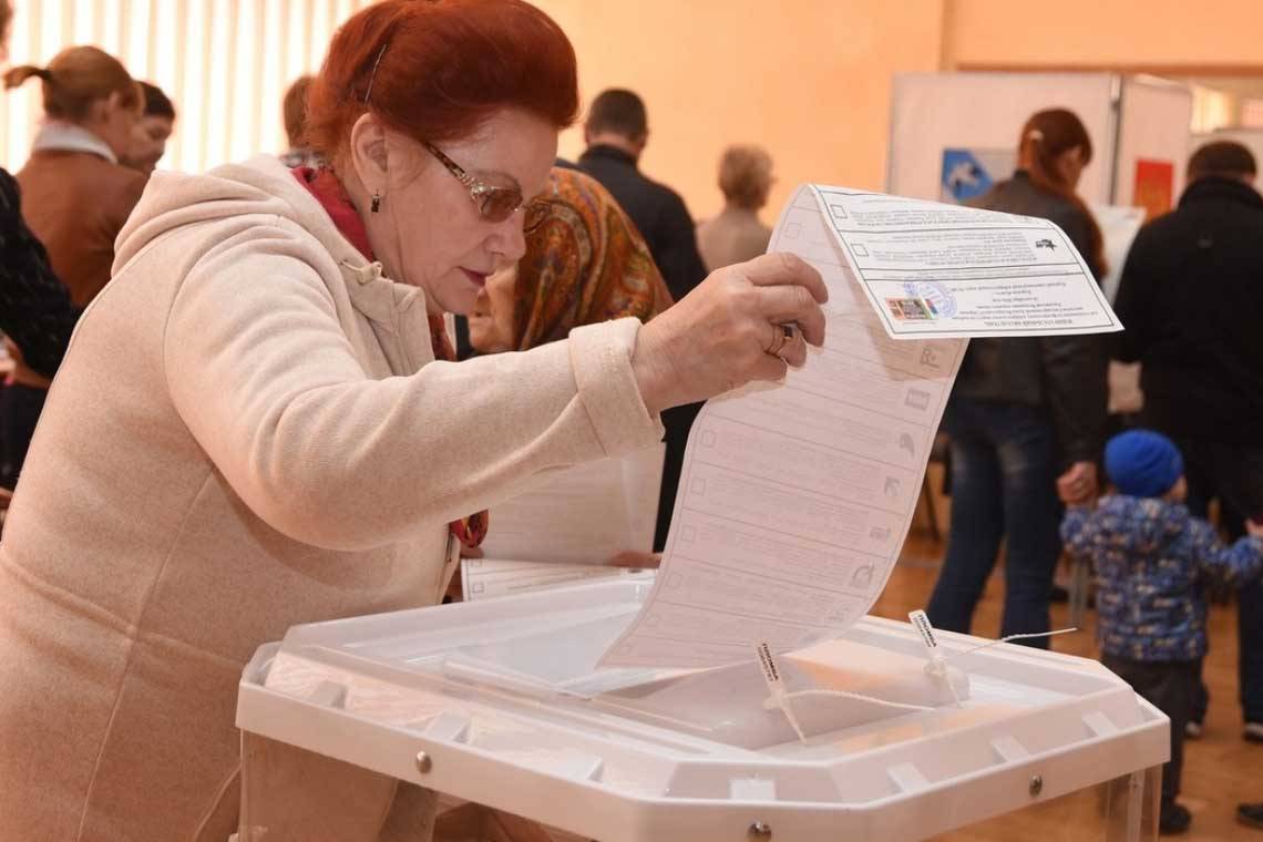   Член Общественной палаты РФ положительно оценил ход выборов в Курской области