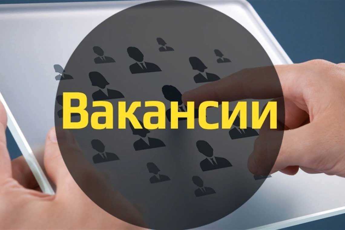 В Курской области открыто более 11 тысяч вакансий