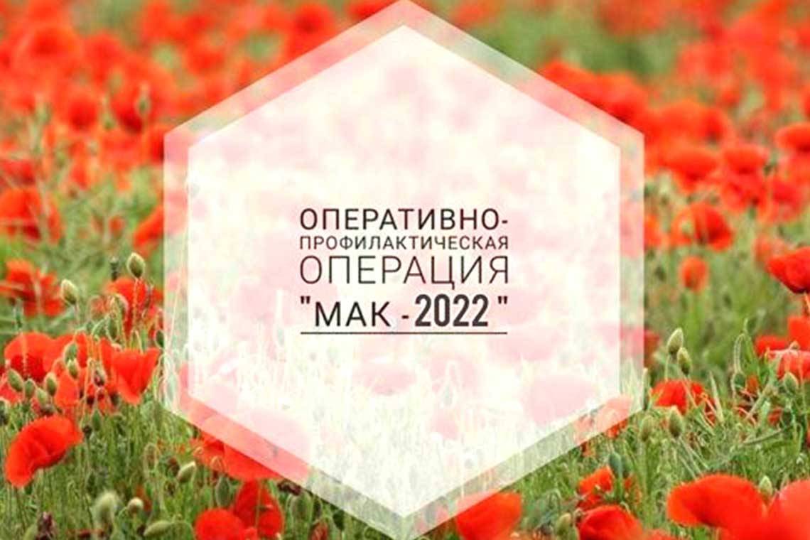 В Курчатовском районе проходит операция "Мак-2022" 