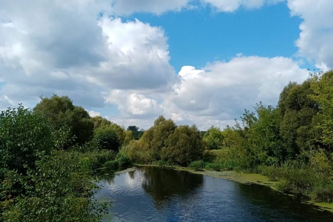 На водоемах Курской области начался нерест