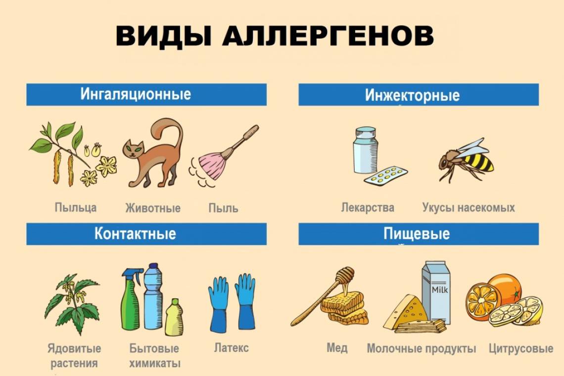 О факторах риска развития аллергии 