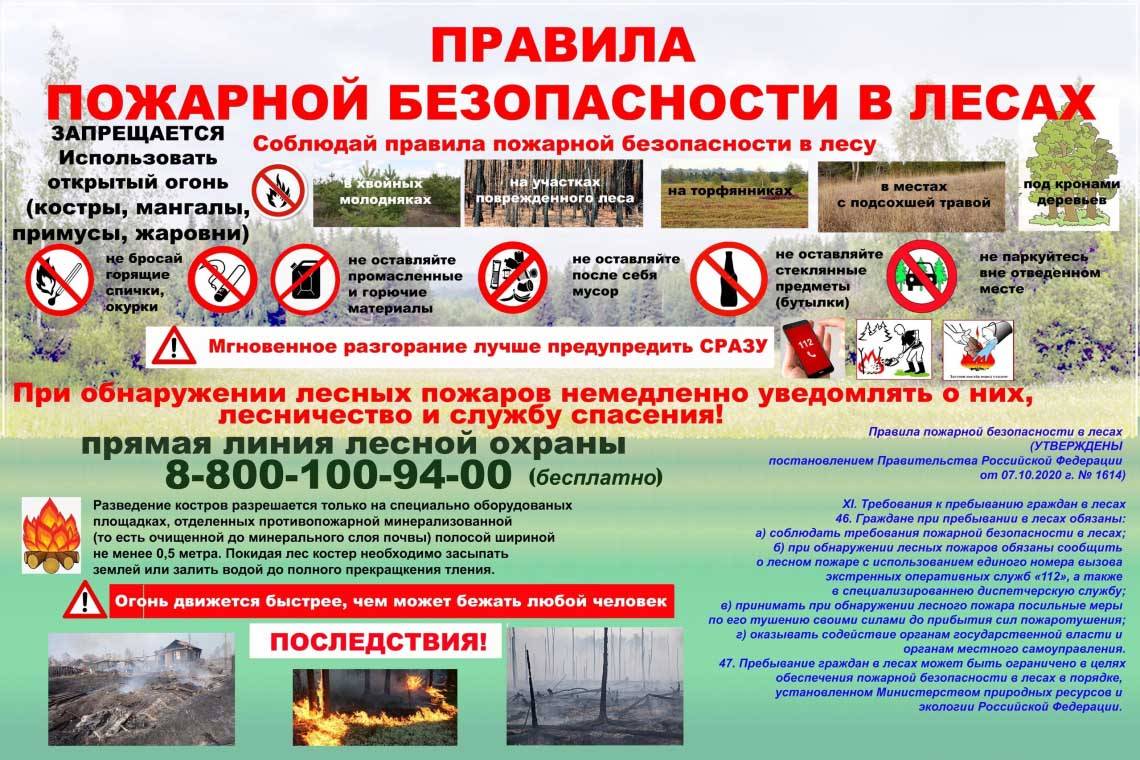 Правила пожарной безопасности в лесах