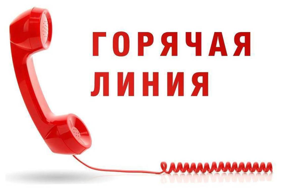 Есть вопросы по качеству новогодних подарков? Звоните на "горячую линию" Роспотребнадзора