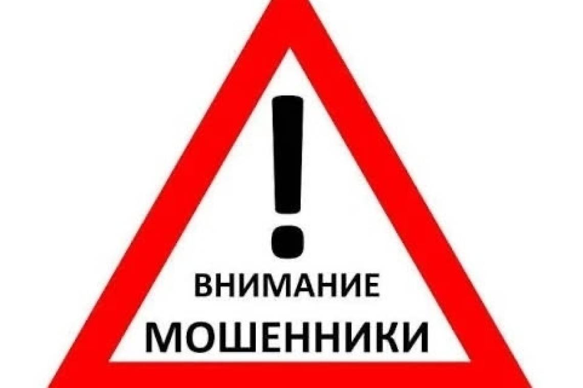 Кот спас курянку от работы курьером по указанию мошенников