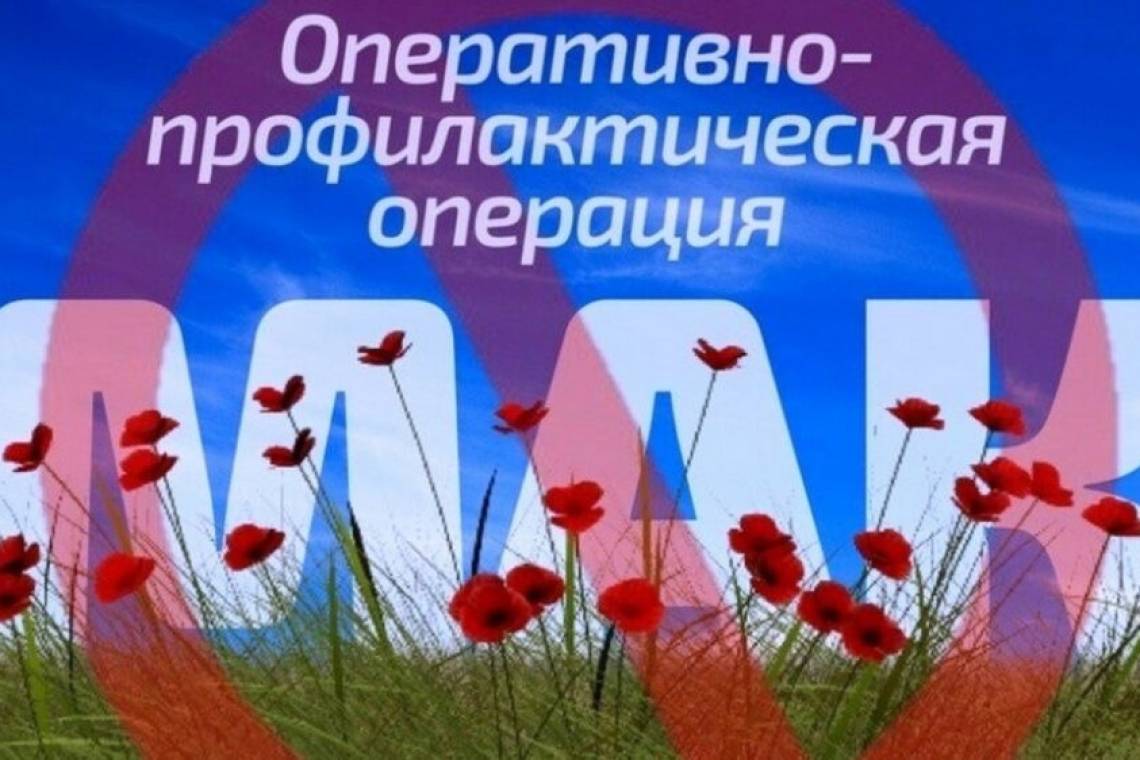 В Курской области пройдет первый этап оперативно – профилактической операции «Мак»