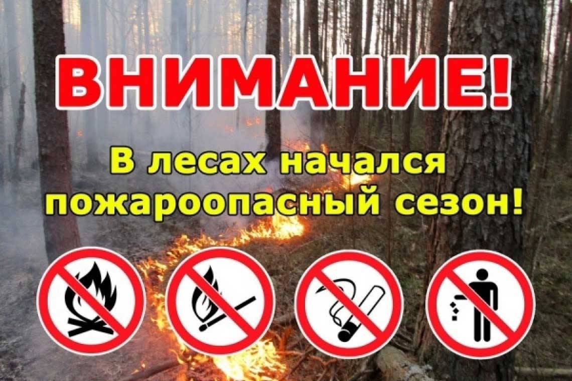 С 10 апреля в лесах Курской области объявлен пожароопасный сезон