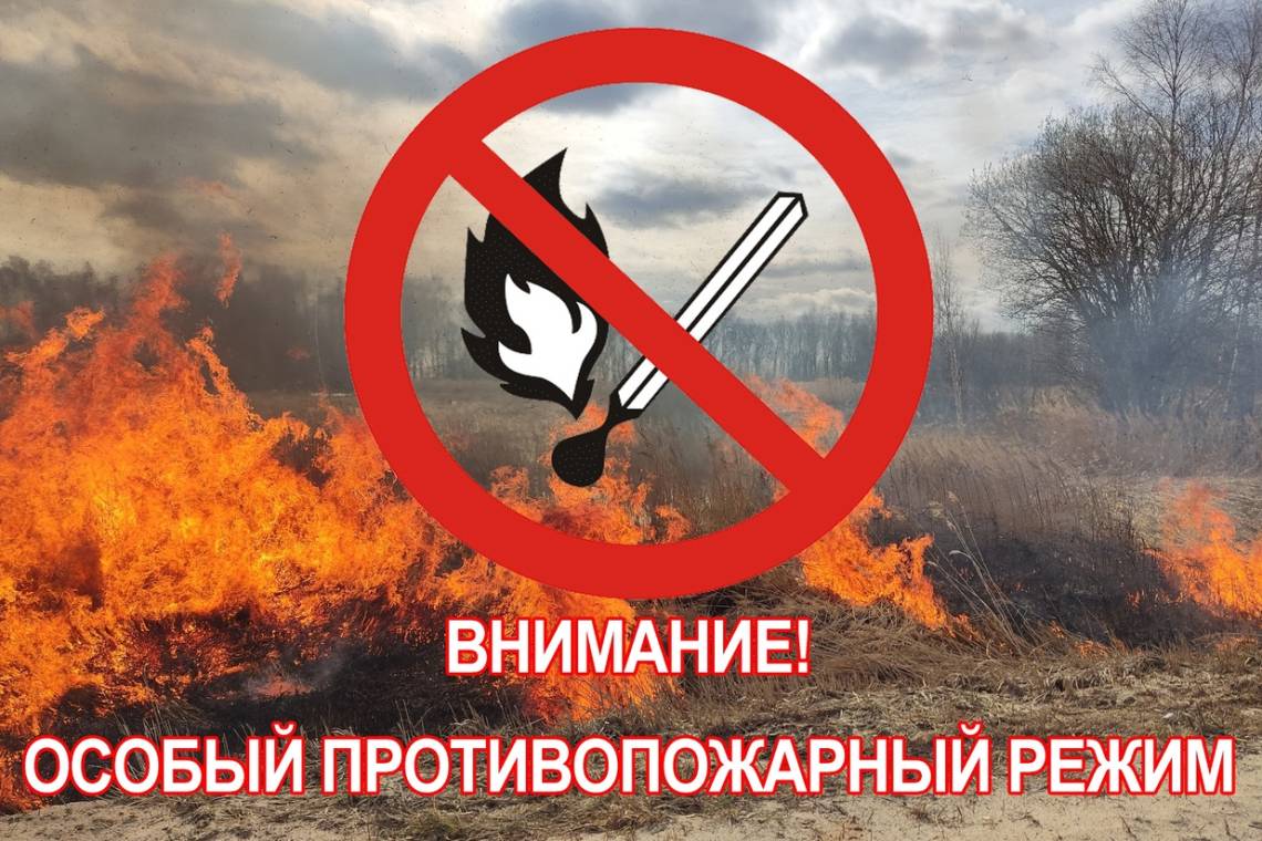 В Курской области действует особый противопожарный режим