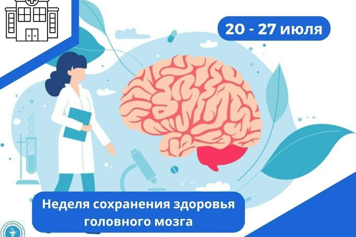   Тихий убийца: как не пропустить инсульт и сохранить ясный ум