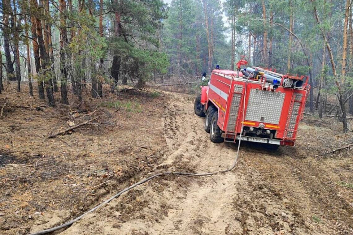 В Курской области завершен пожароопасный сезон в лесах