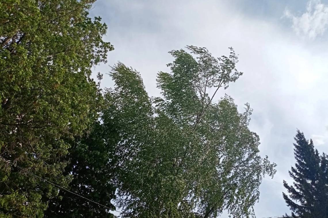 Курские энергетики готовятся к ухудшению погоды
