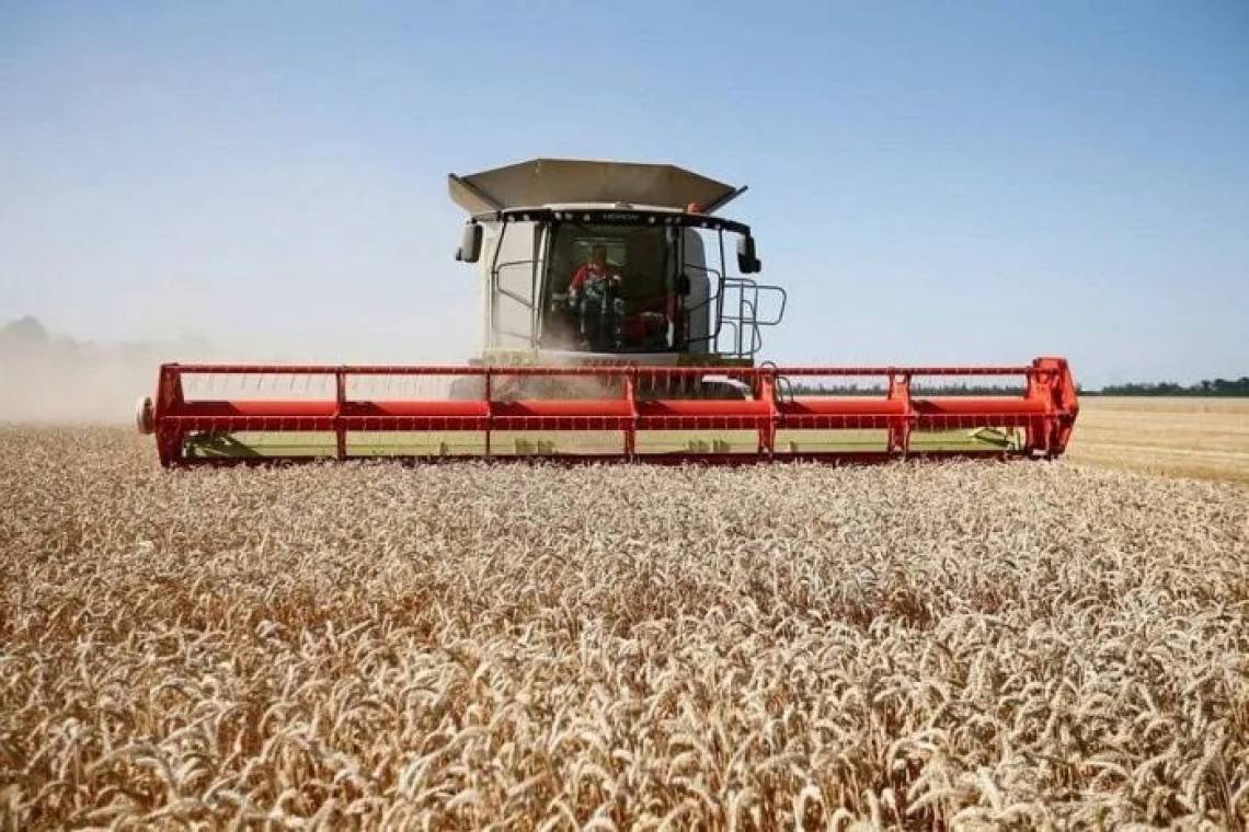 Курские аграрии отведут больше полей под масличные культуры