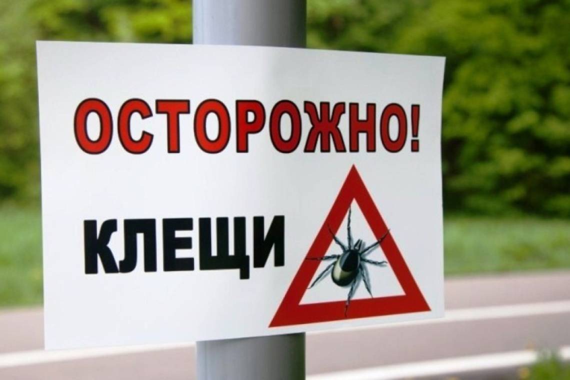 «Горячая линия» по вопросам защиты от клещей