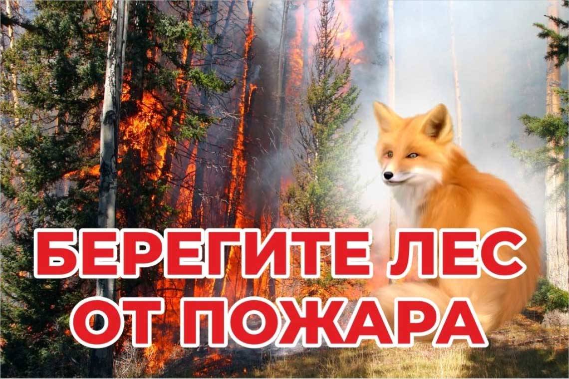 В лесах большей части региона в ближайшие дни прогнозируется IV класс пожарной опасности