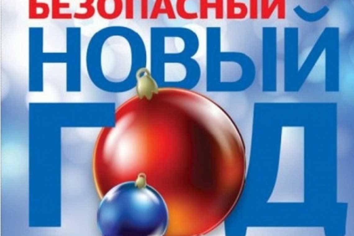 В Курской области стартовала профилактическая акция Росгвардии «Безопасный новый год»