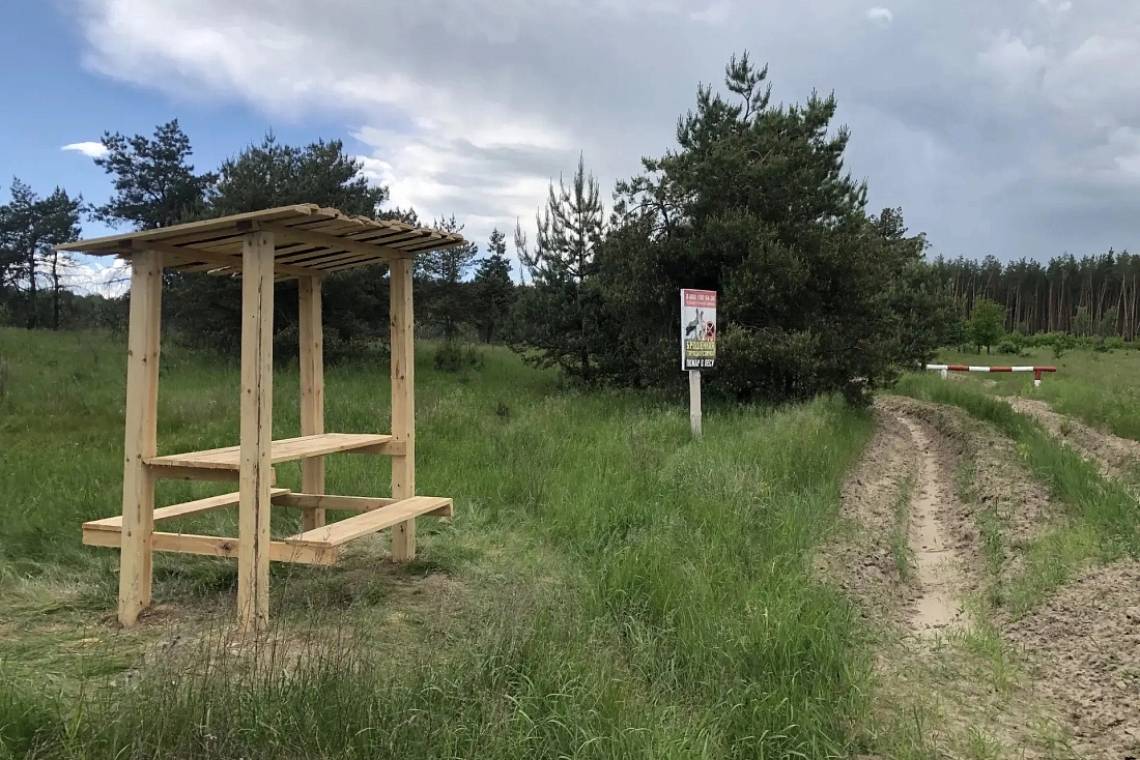В Курской области подвели итоги противопожарного обустройства лесов