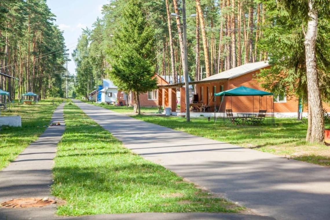 Куряне смогут получить областной кешбэк за путевки в детские лагеря