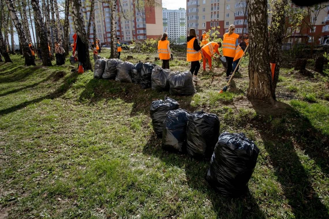 В Курской области подвели итоги всероссийского субботника