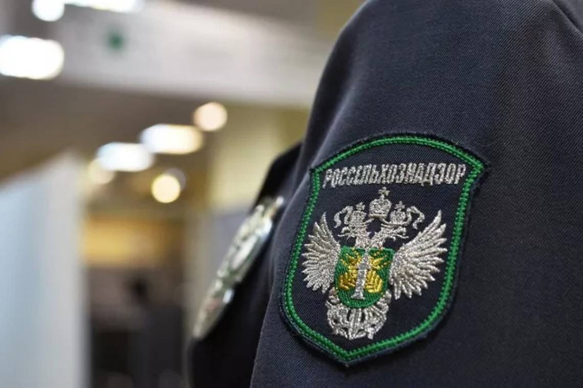 Об обнаружении нарушений законодательства в сфере ветеринарии