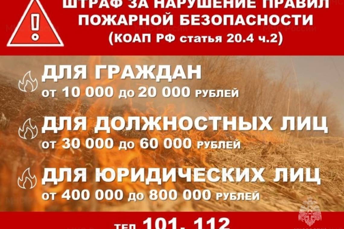В Курской области с 12 апреля действует особый противопожарный режим 
