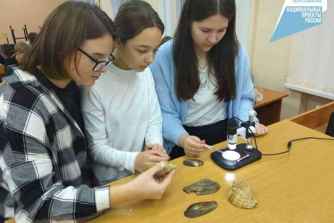 Для школьников Курской области разработано более 14 тысяч дополнительных программ образования