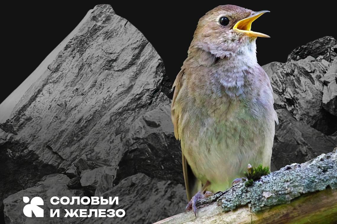 Национальный туристический маршрут «Соловьи и железо» участвует в премии «Маршрут построен»
