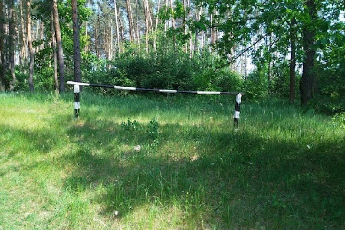 В регионе продлен срок действия ограничительных мер на пребывание граждан в лесах