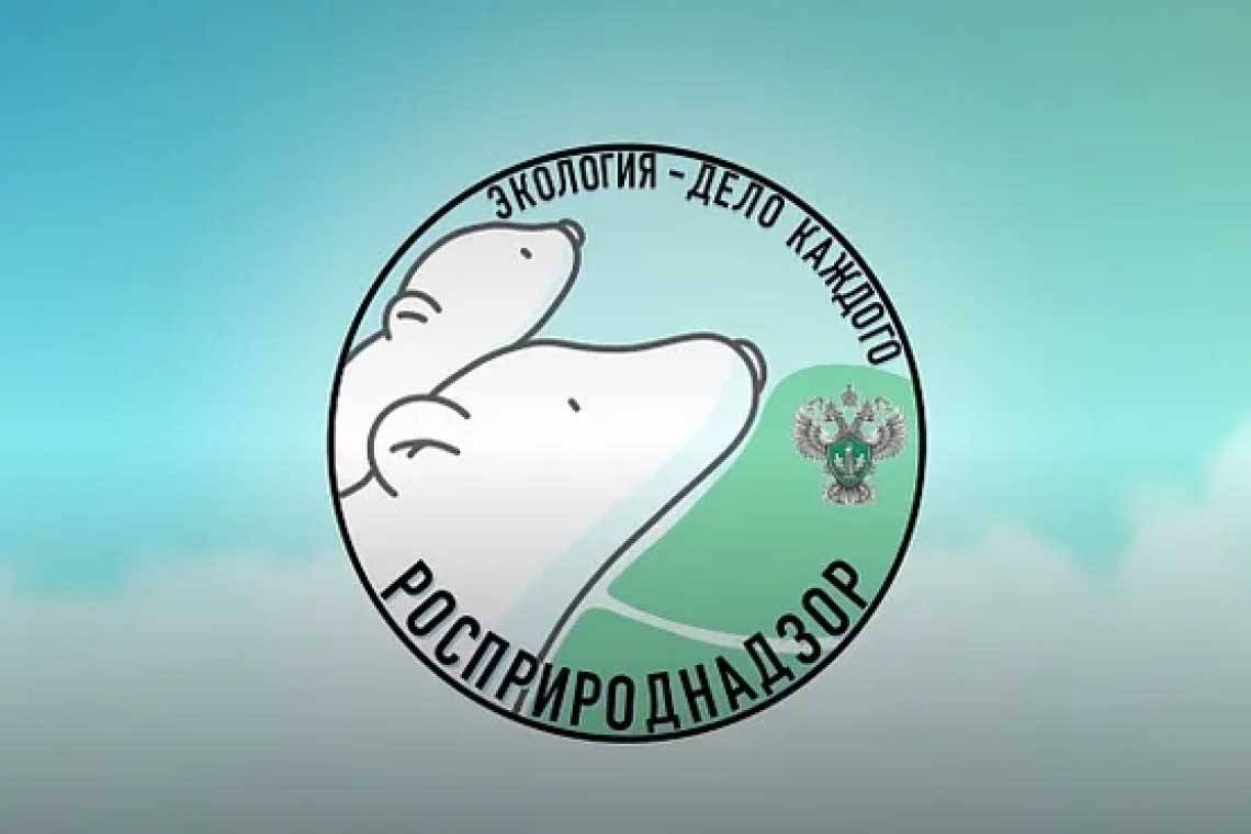 Начался прием заявок на III Международную детско-юношескую премию «Экология – дело каждого». 